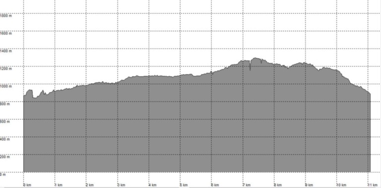 Profil altimétrique de la randonnée