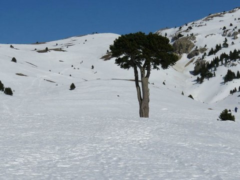 067-26-COL DE ROUSSET Carrières Romaines